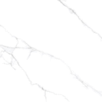 ATLANTIC WHITE GLOSSY INDIA