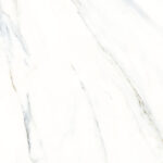 CARRARA NUEV GLOSSY INDIA